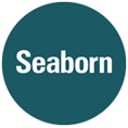 Seaborn Networks logo